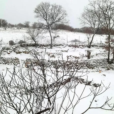 Charming House In + Garden