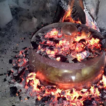 Charming House In + Garden *