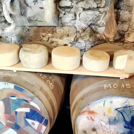 Charming House In + Garden Holiday home