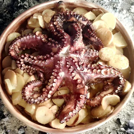 Charming House In + Garden